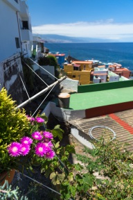 blog_teneriffa_20140728_132948 blog_teneriffa_20140728_132948