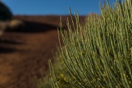 blog_teneriffa_20140728_185942 blog_teneriffa_20140728_185942