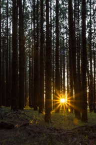 blog_teneriffa_20140728_204503 blog_teneriffa_20140728_204503