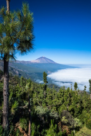 blog_teneriffa_20140729_103756 blog_teneriffa_20140729_103756