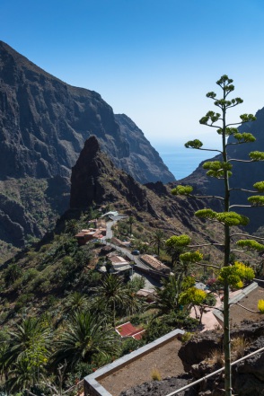 blog_teneriffa_20140729_171539 blog_teneriffa_20140729_171539