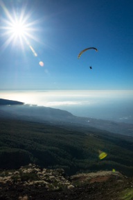 blog_teneriffa_20140730_192539 blog_teneriffa_20140730_192539