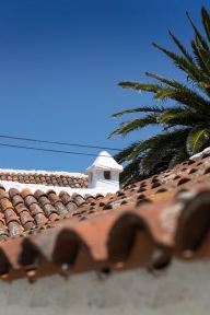 blog_teneriffa_20140731_154316 blog_teneriffa_20140731_154316