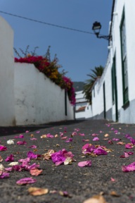 blog_teneriffa_20140731_155917 blog_teneriffa_20140731_155917