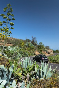 blog_teneriffa_20140731_170814 blog_teneriffa_20140731_170814