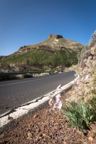 blog_teneriffa_20140731_184512 blog_teneriffa_20140731_184512