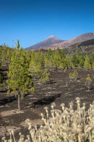 blog_teneriffa_20140731_192827 blog_teneriffa_20140731_192827